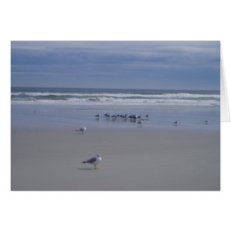 Cartão Gaivotas Na Parada