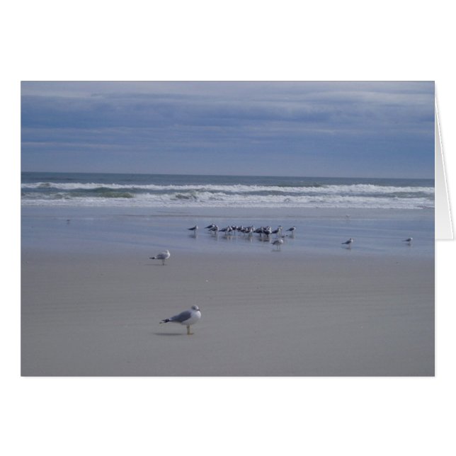 Cartão Gaivotas Na Parada (Frente Horizontal)