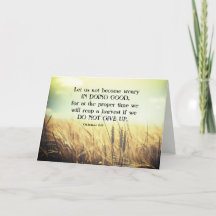 Galatianos 6:9 Não se cansem de fazer o bem