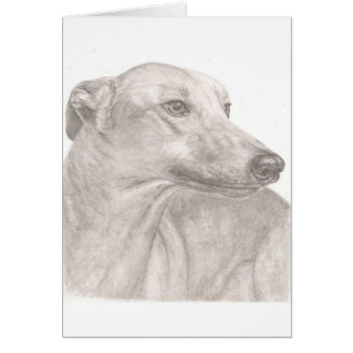 Cartão Galgo