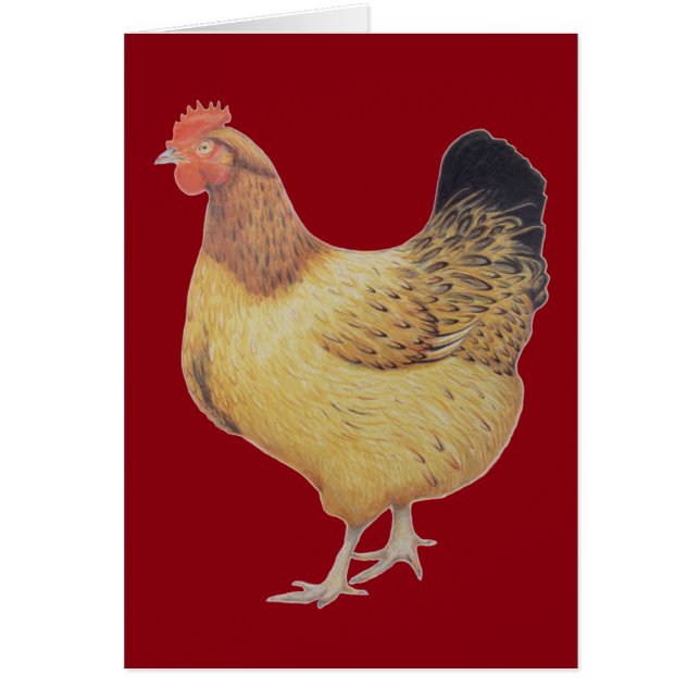 Cartão Galinha 2012 (Frente)