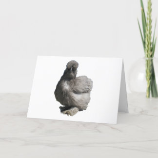Cartão Galinha Azul-Silkie-Flofilizada