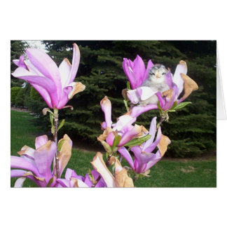 Cartão galinha bonito em uma flor