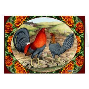 Cartão Galinha de jogo bonita