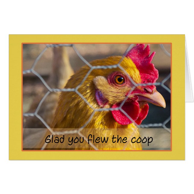 Cartão Galinha na cerca contente você voou a capoeira (Frente Horizontal)