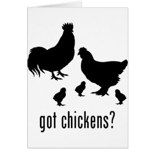 Cartão Galinhas