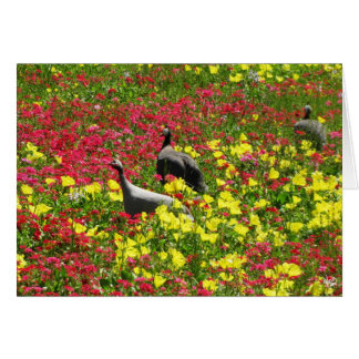 Cartão Galinhas de Guiné nos Wildflowers, primaveras de