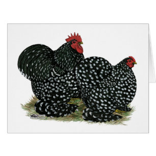 Cartão Galinhas Mottled Cochin