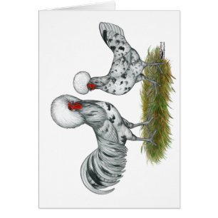 Cartão Galinhas Poloneses