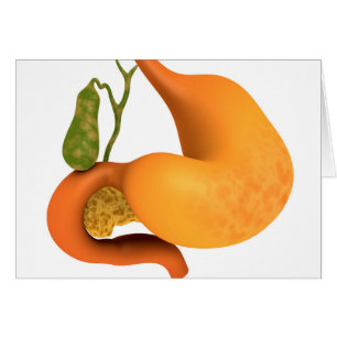 Cartão Gall Bladder com Stomach