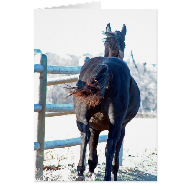 Cartão Gallop Afway (Frente)