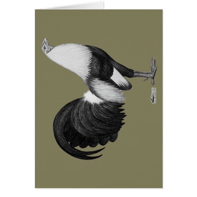 Cartão Galo Combatente Cinza Duckwing (Frente)