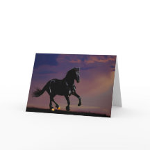 Galopagem de cavalos livre