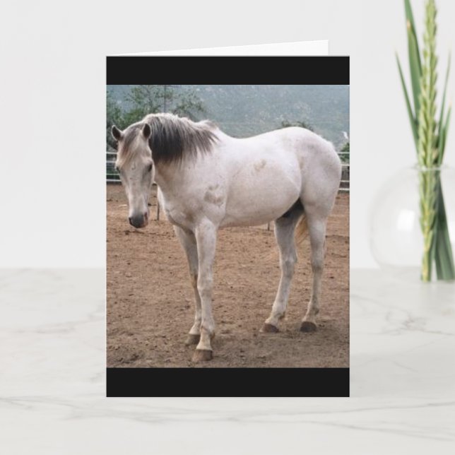 Cartão Gamblers Way (Frente)