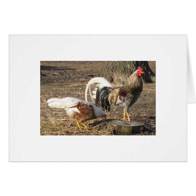 Cartão Gamecock azul da Longo-Cauda da entulho de Alabama (Frente Horizontal)