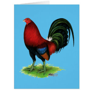 Cartão Gamecock:  Dark Red