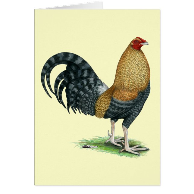 Cartão Gamecock: Dom ou Crele (Frente)