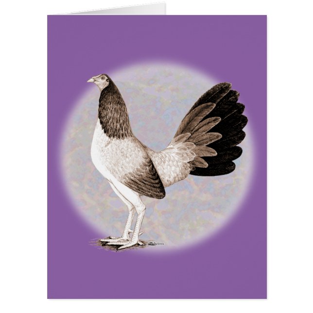 Cartão Gamecock: Hennie (Frente)