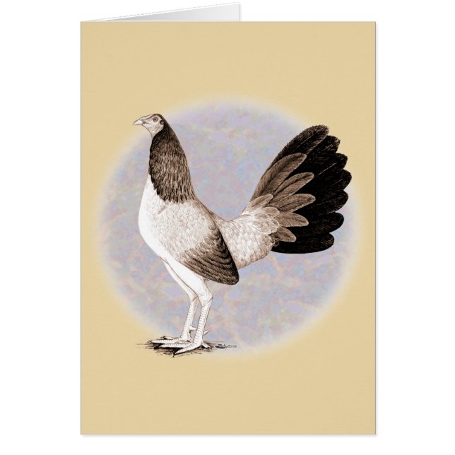 Cartão Gamecock: Hennie (Frente)