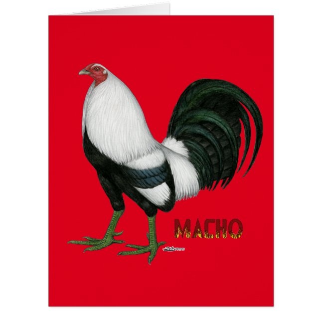 Cartão Gamecock Macho Duckwing (Frente)