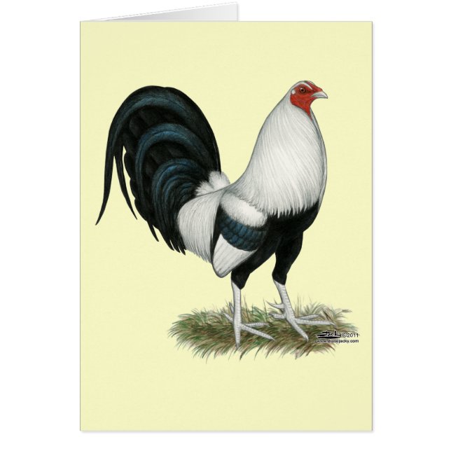 Cartão Gamecock prateado (Frente)