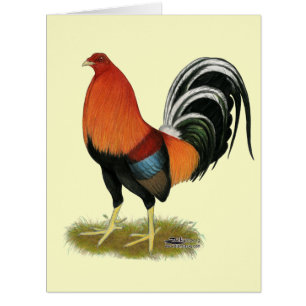 Cartão Gamecock Wheaten Rooster