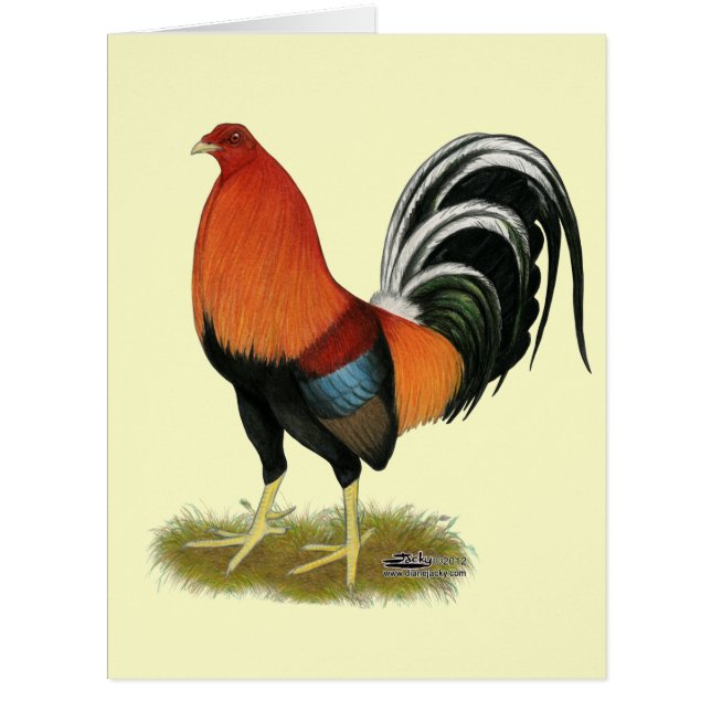 Cartão Gamecock Wheaten Rooster (Frente)