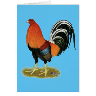 Cartão Gamecock Wheaten Rooster