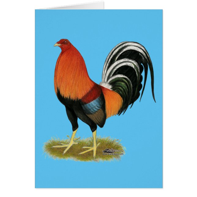 Cartão Gamecock Wheaten Rooster (Frente)