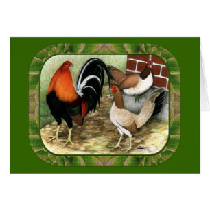 Cartão Gamefowl na Fazenda