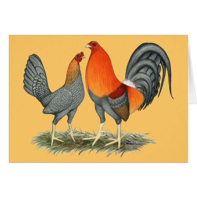 Cartão Gamefowl vermelho azul (Frente horizontal)