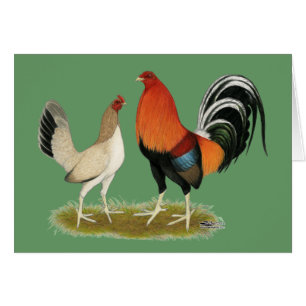 Cartão Gamefowl Wheatens