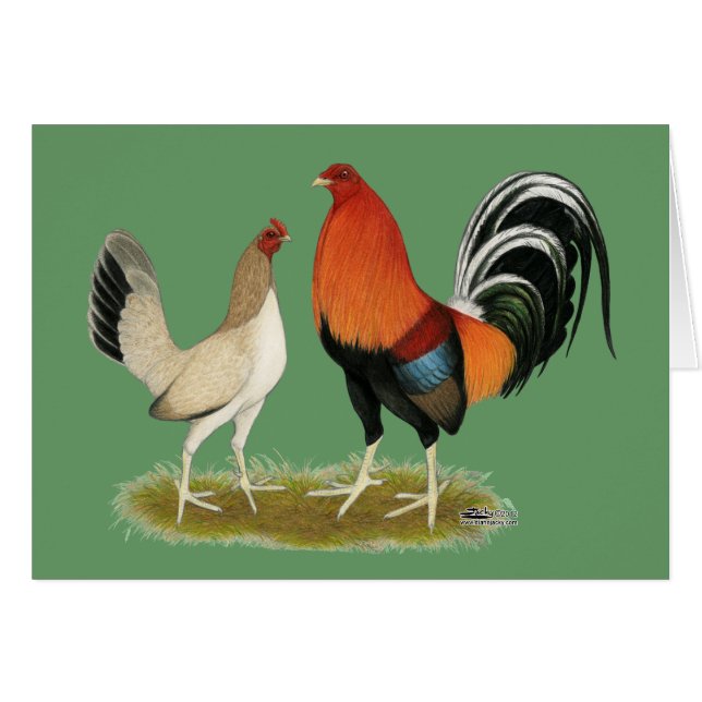 Cartão Gamefowl Wheatens (Frente horizontal)