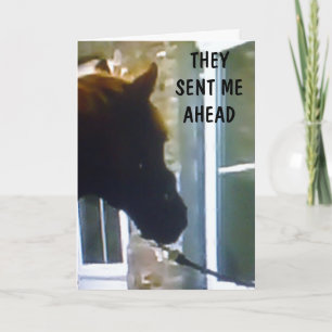 CARTÃO GANG ME ENVIOU PARA DIZER ANIVERSÁRIO FELIZ