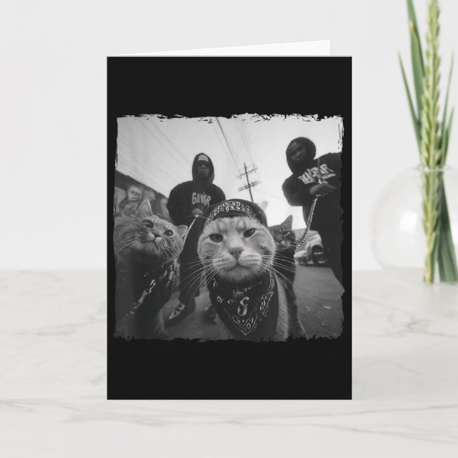Cartão Gangster Cats Roupas Legais Motivo de Gato Engraça (Frente)