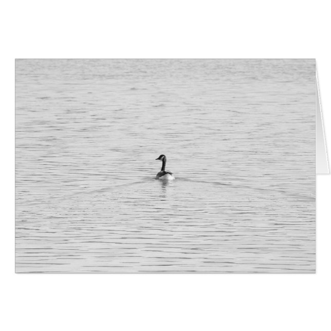 Cartão Ganso da natação (Frente horizontal)