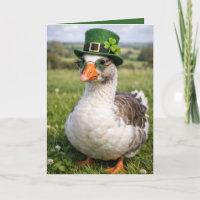 Ganso do Dia de São Patrício de Aniversário