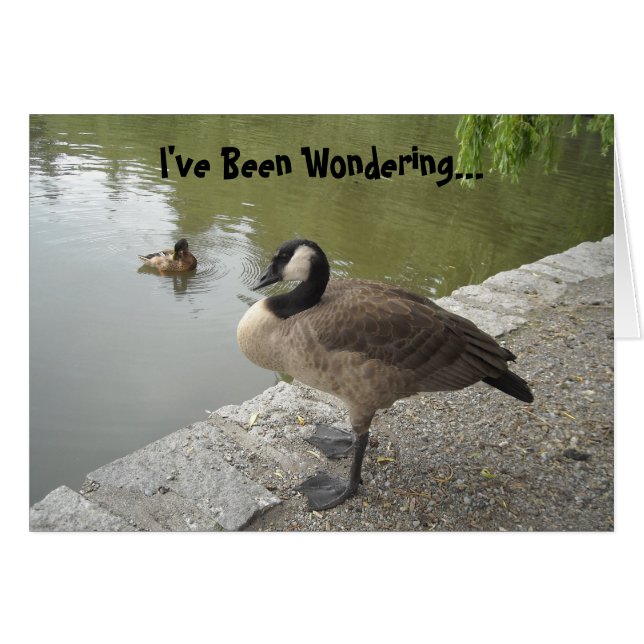 Cartão Ganso selvagem (Frente Horizontal)