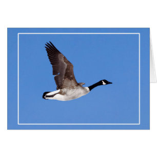 Cartão Ganso Voador