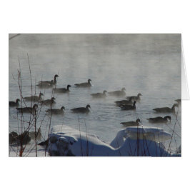Cartão Gansos canadenses B49 no rio congelado