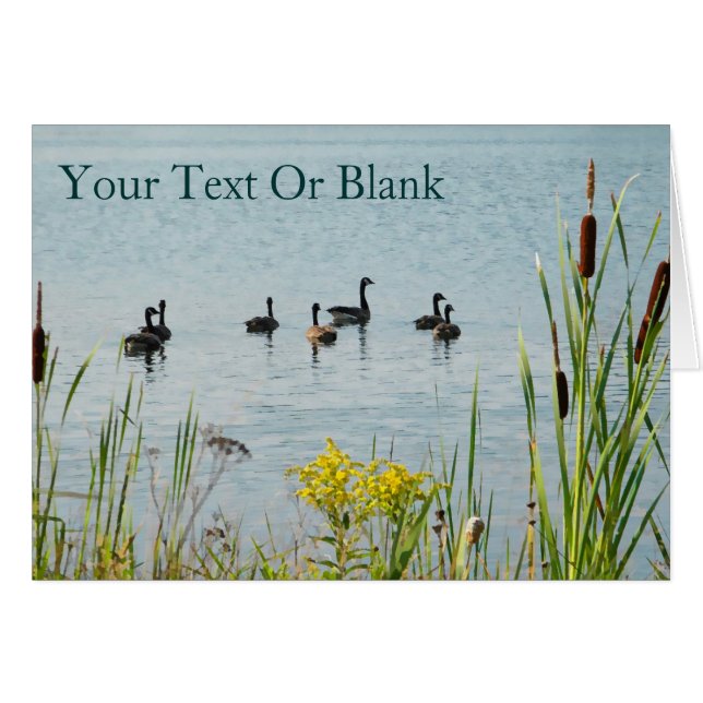 Cartão Gansos E Capturas Do Canadá (Frente Horizontal)