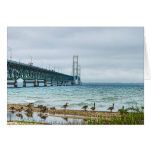 Cartão Gansos No Mighty Mac
