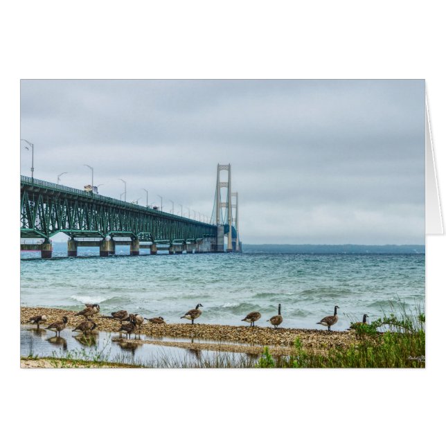 Cartão Gansos No Mighty Mac (Frente Horizontal)