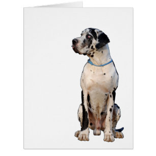 Cartão Ganz große Doggen Karte