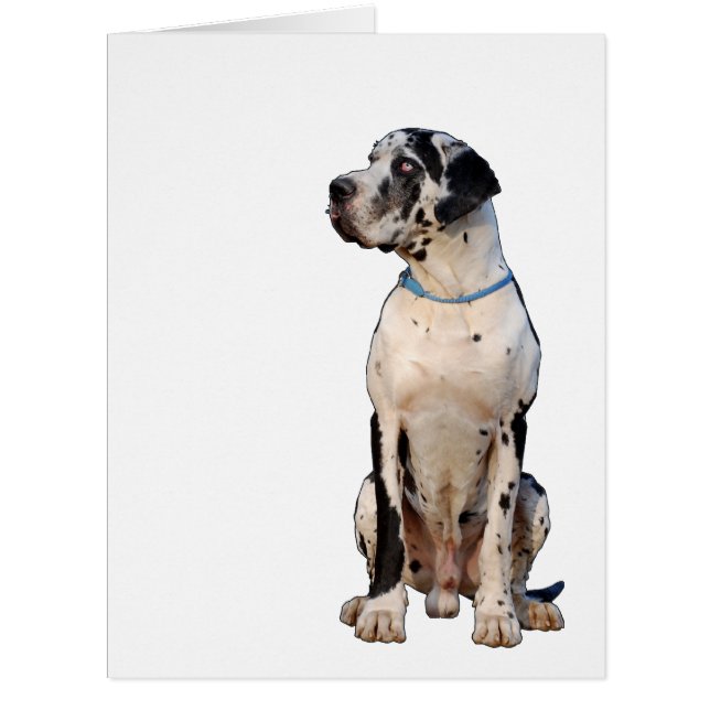 Cartão Ganz große Doggen Karte (Frente)