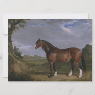 Cartão Garanhão Clydesdale (Cavalo Puro-Sangue Inglês) (A