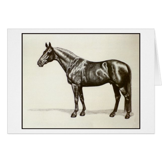 Cartão Garanhão de Trakehner (Frente Horizontal)