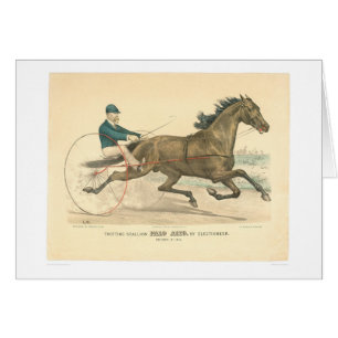 Cartão Garanhão Palo Alto trotar por Electioneer (1791A)