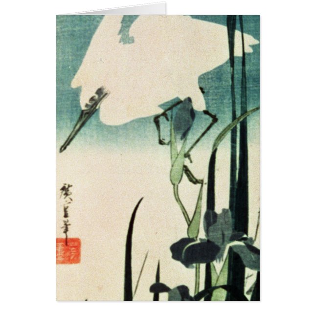 Cartão Garça-real e íris brancas (Frente)