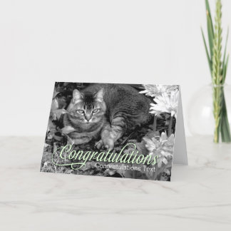 Cartão Garden Cat Blank Congratulations Card